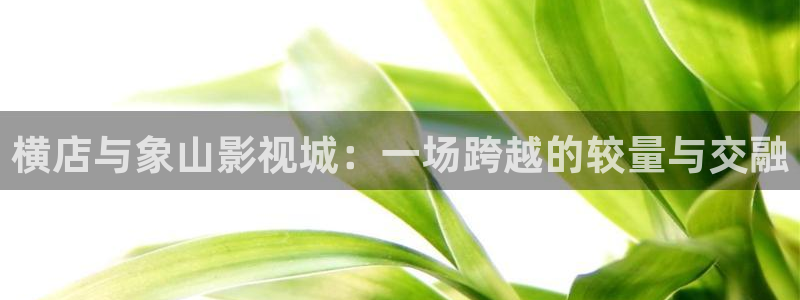 达达兔影视免费观看：横店与象山影视城：一场跨越的较量与交融