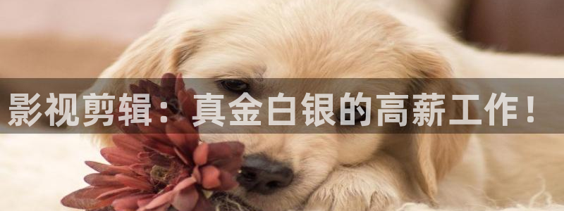 神马影院达达兔影院达达兔影院达达兔影院：影视剪辑：真金白银的高薪工作！