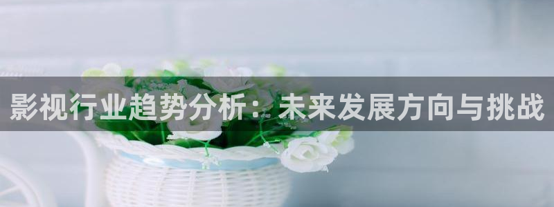 神马六度达达兔影院：影视行业趋势分析：未来发展方向与挑战