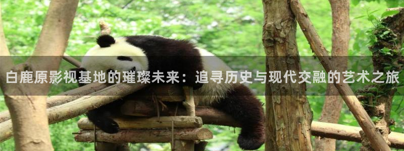 达达兔高清电视电影：白鹿原影视基地的璀璨未来：追寻历史与现代交融的艺术之旅