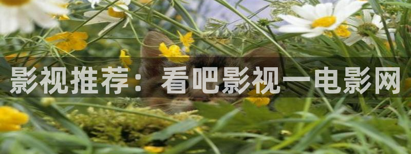 达达兔神马电影网：影视推荐：看吧影视一电影网