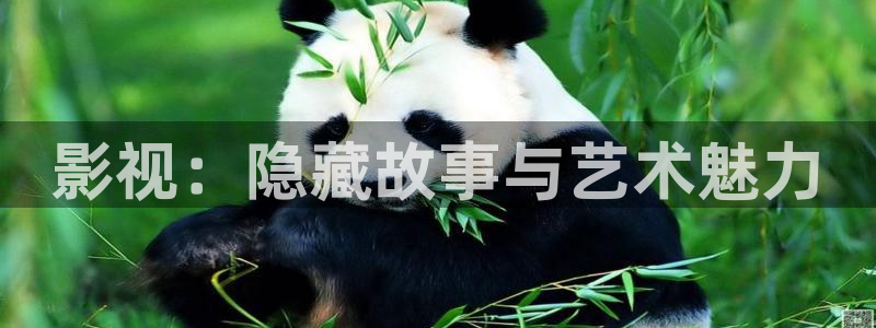 神马电影院达达兔：影视：隐藏故事与艺术魅力
