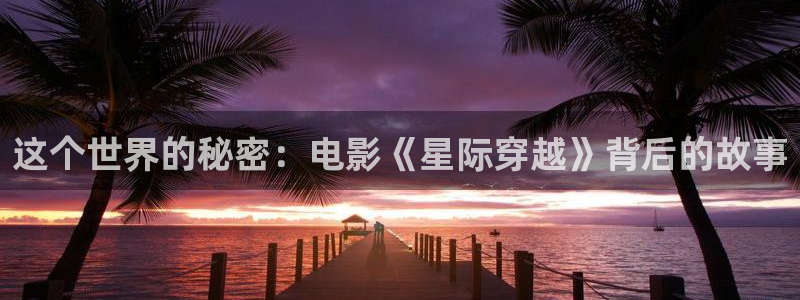 神马影院第九影院达达兔：这个世界的秘密：电影《星际穿越》背后的故事