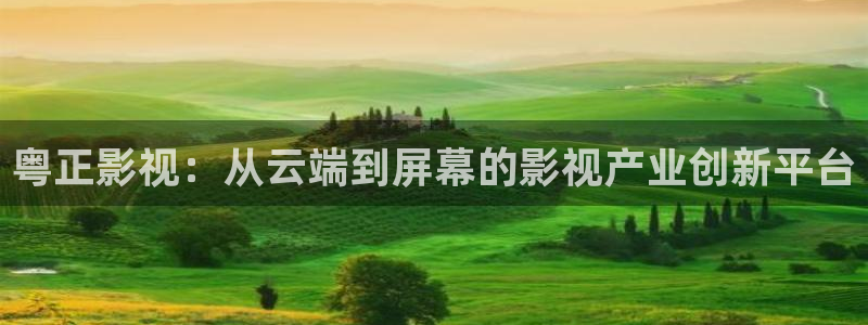 达达兔影院电视剧免费观看完整版：粤正影视：从云端到屏幕的影视产业创新平台
