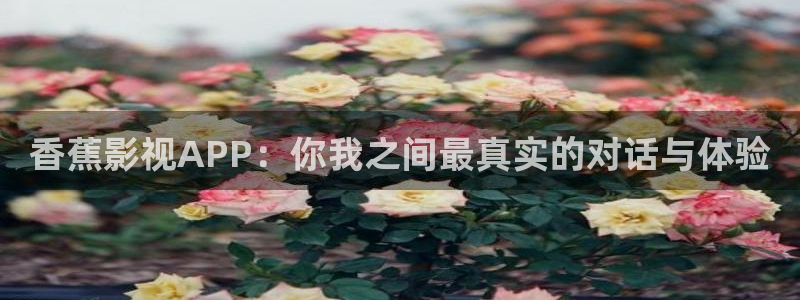 达达兔影院旧版手机观看：香蕉影视APP：你我之间最真实的对话与体验