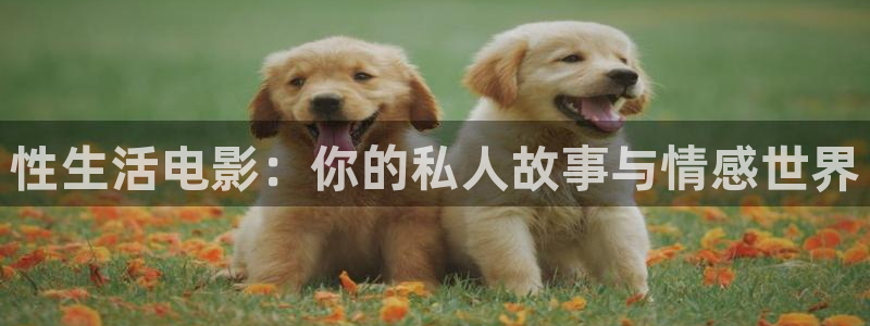 神马影院达达兔第九：性生活电影：你的私人故事与情感世界