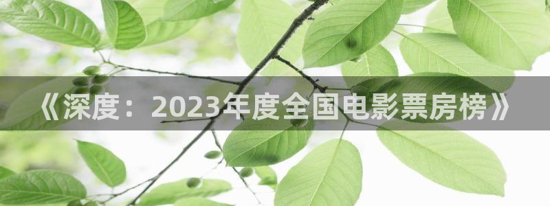 达达兔电视剧影视：《深度：2023年度全国电影票房榜》