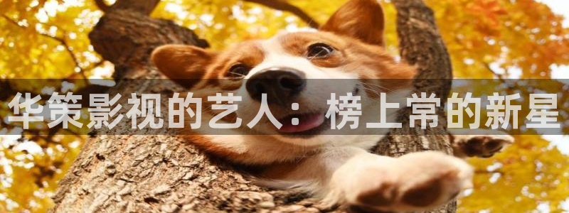 达达兔影院免费观看全集：华策影视的艺人：榜上常的新星