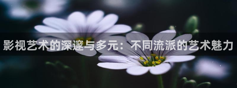 第九影院神马影院达达兔：影视艺术的深邃与多元：不同流派的艺术魅力