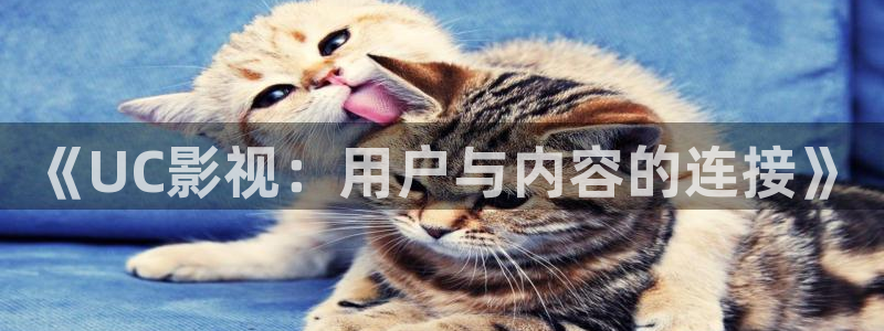 神马影院第九达达兔：《UC影视：用户与内容的连接》