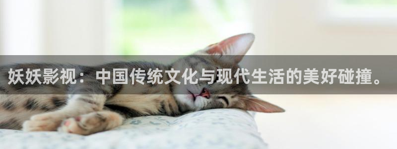 达达兔手机影院：妖妖影视：中国传统文化与现代生活的美好碰撞。
